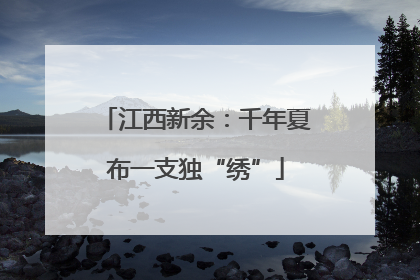江西新余：千年夏布一支独“绣”
