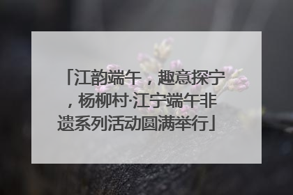 江韵端午，趣意探宁，杨柳村·江宁端午非遗系列活动圆满举行