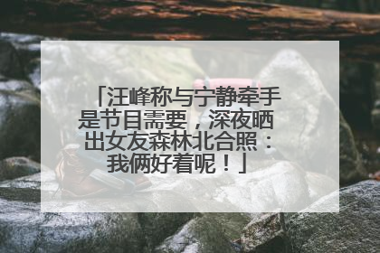 汪峰称与宁静牵手是节目需要，深夜晒出女友森林北合照：我俩好着呢！
