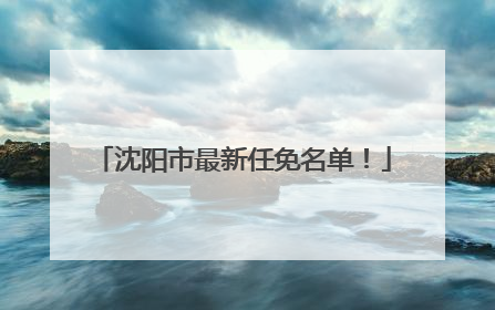 沈阳市最新任免名单！