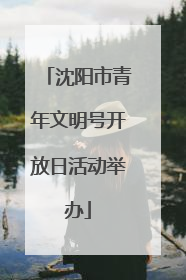 沈阳市青年文明号开放日活动举办
