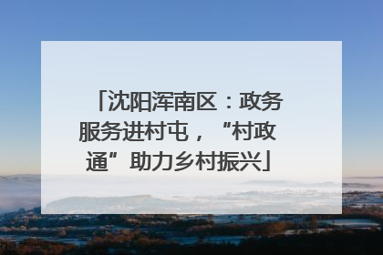 沈阳浑南区：政务服务进村屯，“村政通”助力乡村振兴