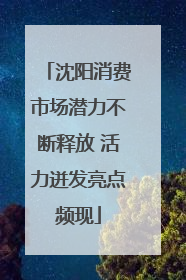 沈阳消费市场潜力不断释放 活力迸发亮点频现