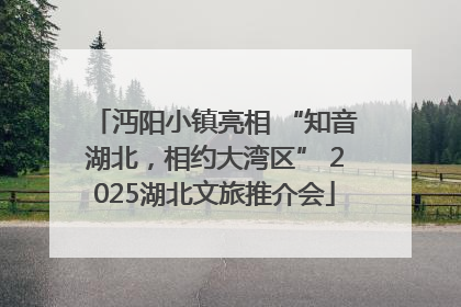 沔阳小镇亮相 “知音湖北，相约大湾区” 2025湖北文旅推介会