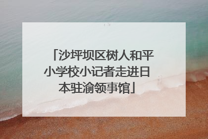 沙坪坝区树人和平小学校小记者走进日本驻渝领事馆