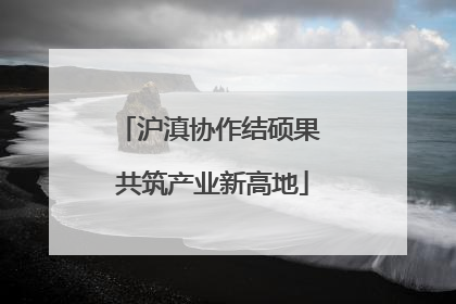 沪滇协作结硕果 共筑产业新高地