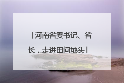 河南省委书记、省长，走进田间地头
