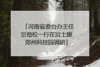 河南省委台办主任景劲松一行在富士康郑州科技园调研