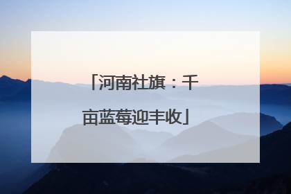 河南社旗：千亩蓝莓迎丰收