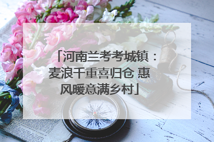 河南兰考考城镇：麦浪千重喜归仓 惠风暖意满乡村