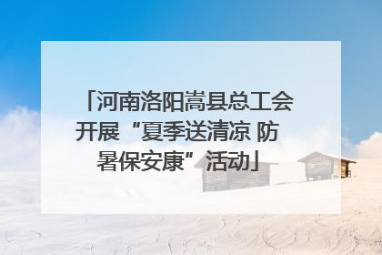 河南洛阳嵩县总工会开展“夏季送清凉 防暑保安康”活动