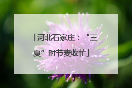 河北石家庄：“三夏”时节麦收忙