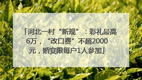 河北一村“新规”：彩礼最高6万，“改口费”不超2000元，婚宴限每户1人参加