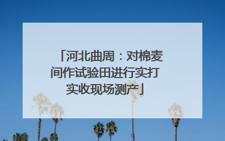 河北曲周：对棉麦间作试验田进行实打实收现场测产