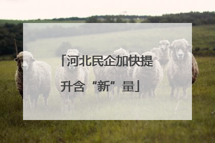 河北民企加快提升含“新”量