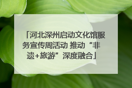 河北深州启动文化馆服务宣传周活动 推动“非遗+旅游”深度融合