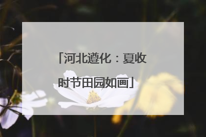 河北遵化：夏收时节田园如画