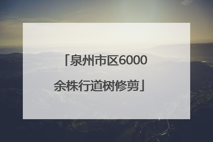 泉州市区6000余株行道树修剪