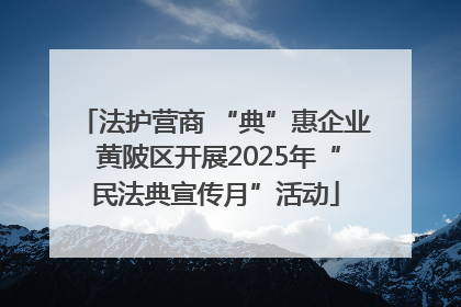 法护营商 “典”惠企业 黄陂区开展2025年“民法典宣传月”活动