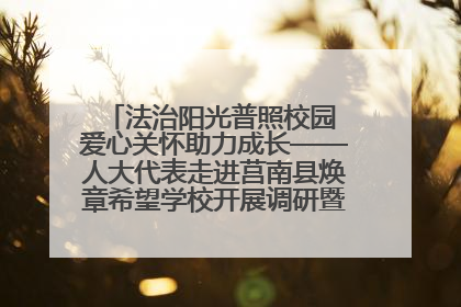 法治阳光普照校园 爱心关怀助力成长——人大代表走进莒南县焕章希望学校开展调研暨普法宣传活动