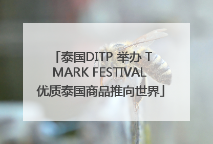 泰国DITP 举办 T MARK FESTIVAL 优质泰国商品推向世界