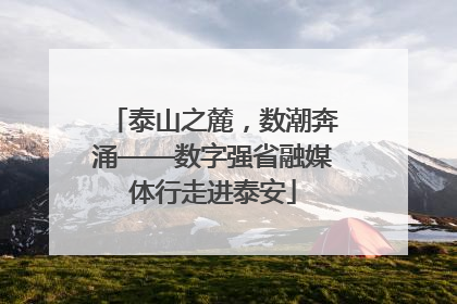 泰山之麓，数潮奔涌——数字强省融媒体行走进泰安