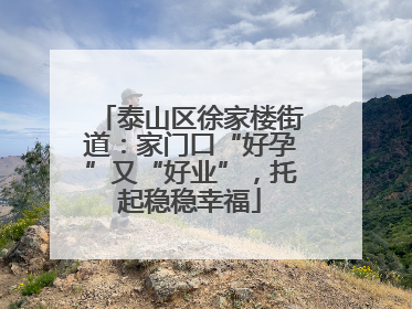 泰山区徐家楼街道：家门口“好孕”又“好业”，托起稳稳幸福