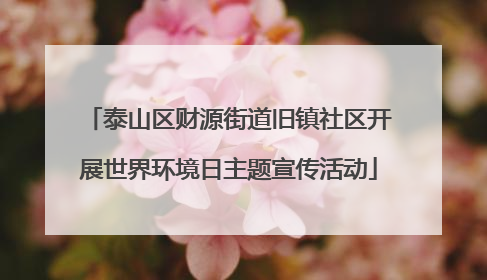 泰山区财源街道旧镇社区开展世界环境日主题宣传活动