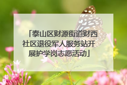 泰山区财源街道财西社区退役军人服务站开展护学岗志愿活动