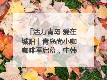 活力青岛 爱在城阳｜青岛尚小咖咖啡季启幕，中韩消费新场景点燃夏日热情