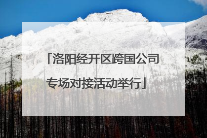 洛阳经开区跨国公司专场对接活动举行