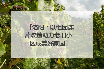 洛阳：以组团连片改造助力老旧小区成美好家园