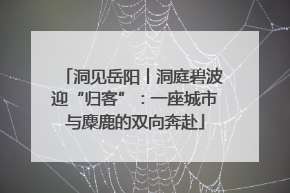 洞见岳阳丨洞庭碧波迎“归客”：一座城市与麋鹿的双向奔赴