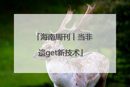 海南周刊丨当非遗get新技术