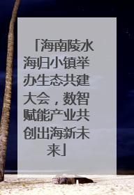 海南陵水海归小镇举办生态共建大会，数智赋能产业共创出海新未来