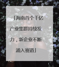 海南首个千亿产业集群持续发力，新企业不断涌入赛道
