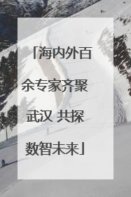 海内外百余专家齐聚武汉 共探数智未来