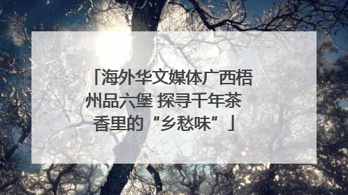 海外华文媒体广西梧州品六堡 探寻千年茶香里的“乡愁味”