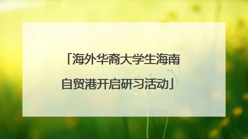 海外华裔大学生海南自贸港开启研习活动