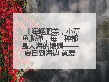 海蛏肥美，小章鱼脆弹，每一种都是大海的馈赠——夏日到海边 就爱那口鲜