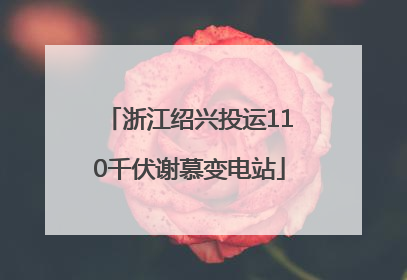 浙江绍兴投运110千伏谢慕变电站