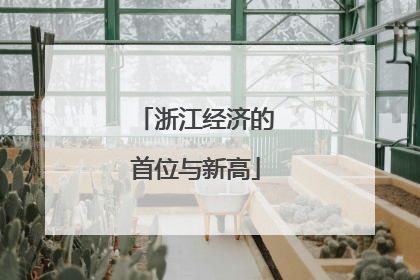 浙江经济的首位与新高