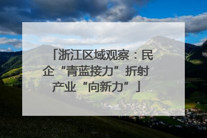 浙江区域观察：民企“青蓝接力”折射产业“向新力”