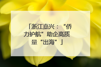浙江嘉兴：“侨力护航”助企高质量“出海”