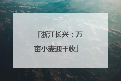 浙江长兴：万亩小麦迎丰收