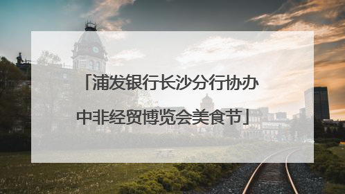 浦发银行长沙分行协办中非经贸博览会美食节