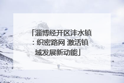 淄博经开区沣水镇：织密路网 激活镇域发展新动能