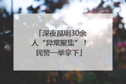 深夜昆明30余人“异常聚集”！民警一举拿下