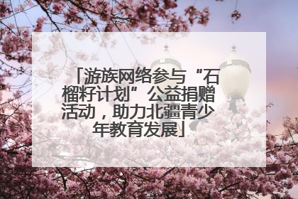 游族网络参与“石榴籽计划”公益捐赠活动，助力北疆青少年教育发展