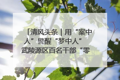 清风头条｜用“案中人”警醒“梦中人” 武陵源区百名干部“零距离”接受警示教育